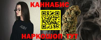 стафф Новозыбков